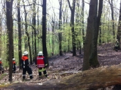 Einsatz 26.04.2013 Freiwillige Feuerwehr Ansbach-Neuses e.V.
